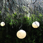 Lunara Luna Sospesa Lampada