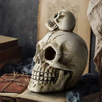 Figure di Teschi in Resina Mortis
