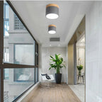 Lampada da soffitto LED cilindrica semplice nordica