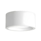 Lampada da Soffitto Semplice in Stile Nordic