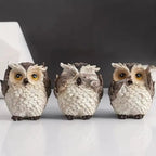 Trio di Gufi Espressivi Noxi