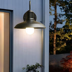 Lampada da Parete Esterna a Ciotola in Ferro Industriale Vintage LED 1 Luce