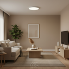 OCS - Lampada da soffitto LED Ronde & Platte – Design Moderno in Bianco o Nero