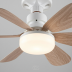 OCS - Ventilatore a Soffitto Plufon con Illuminazione LED e Telecomando - dimmerabile e ultra silenzioso