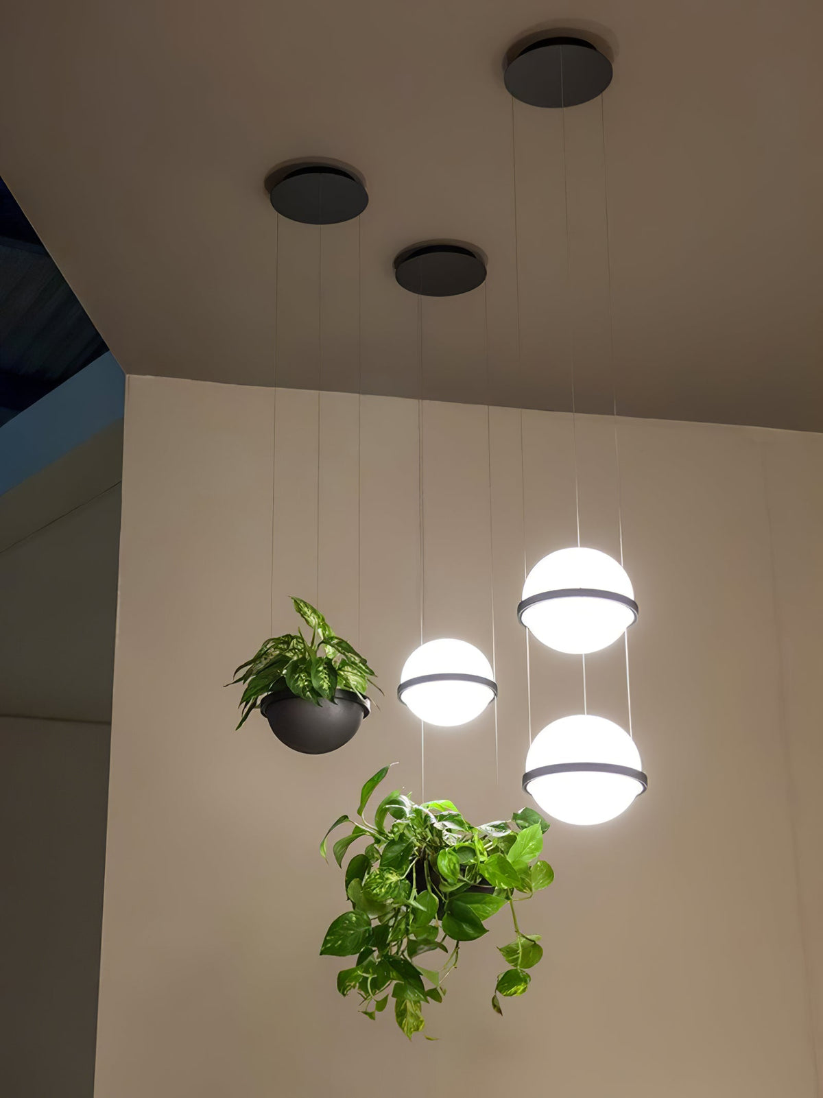 Lampada a Sospensione Palma