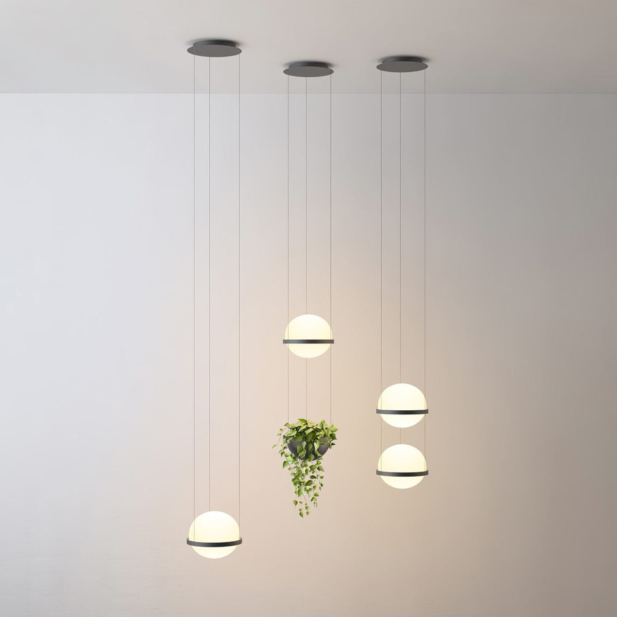Lampada a Sospensione Palma