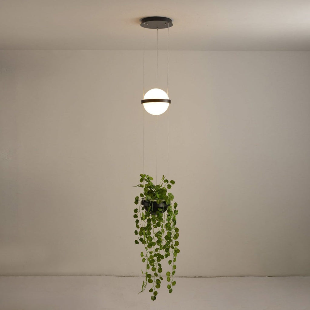 Lampada a Sospensione Palma