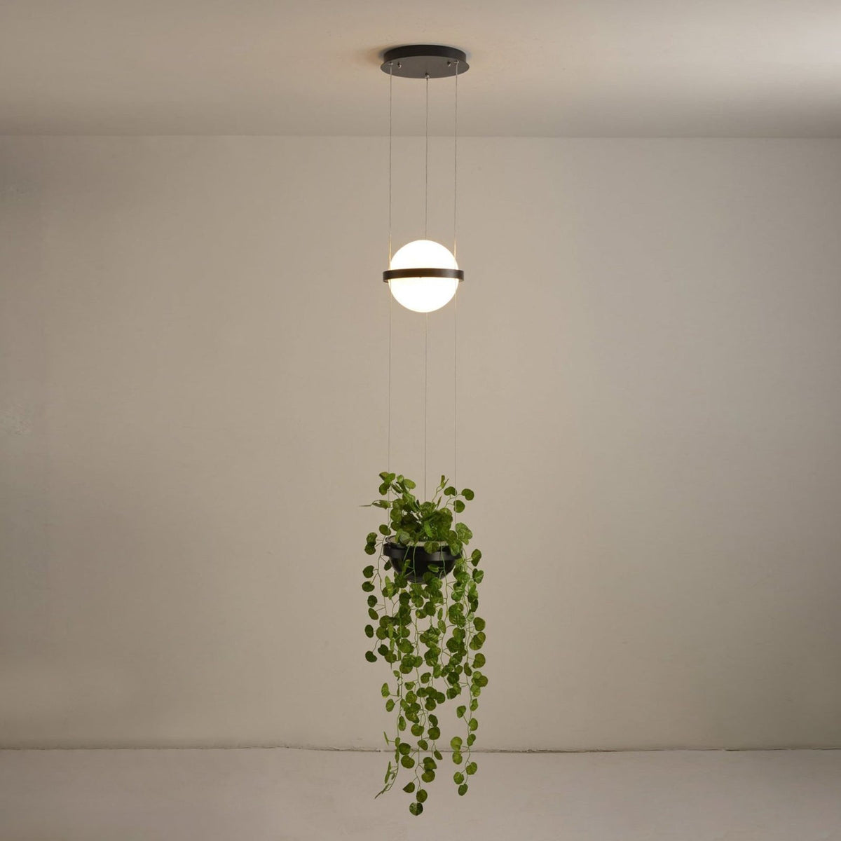 Lampada a Sospensione Palma