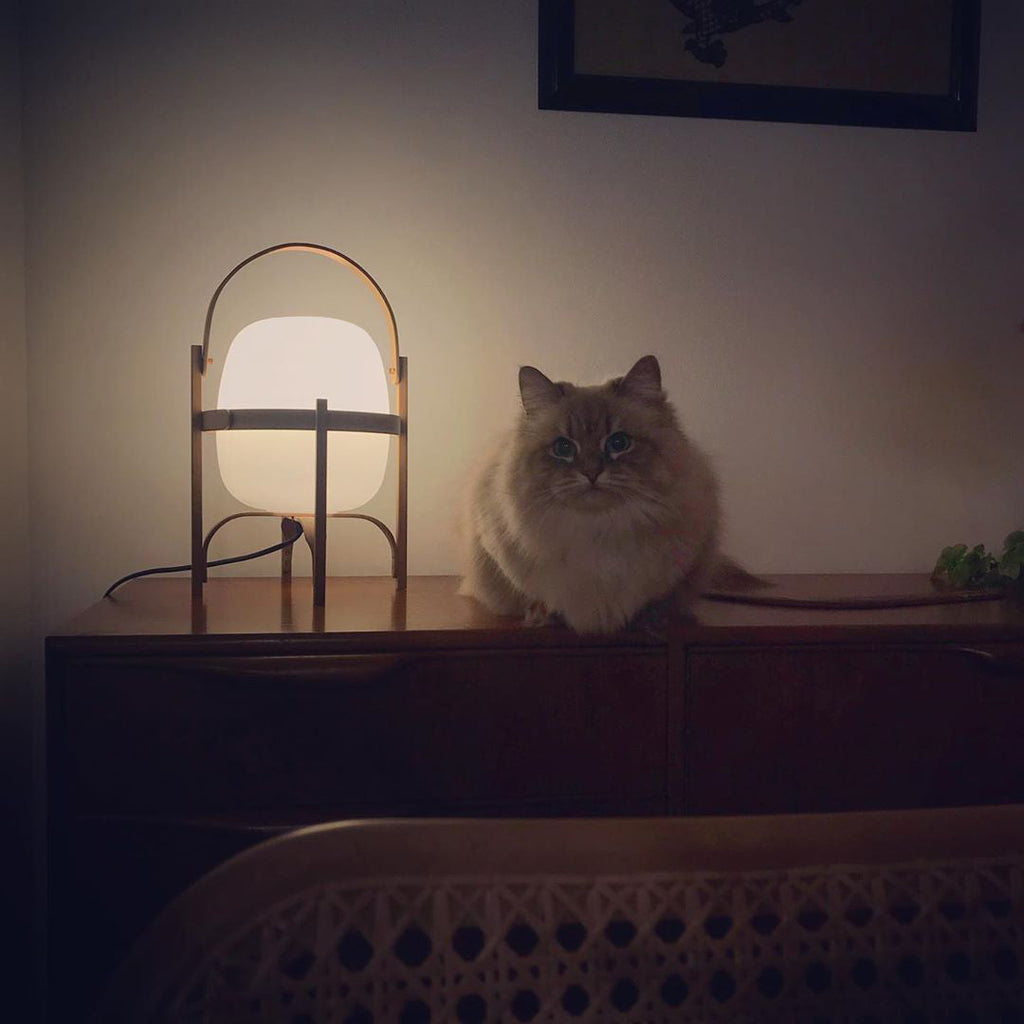 Lampada da Tavolo in Vetro a Forma di Lanterna Portatile