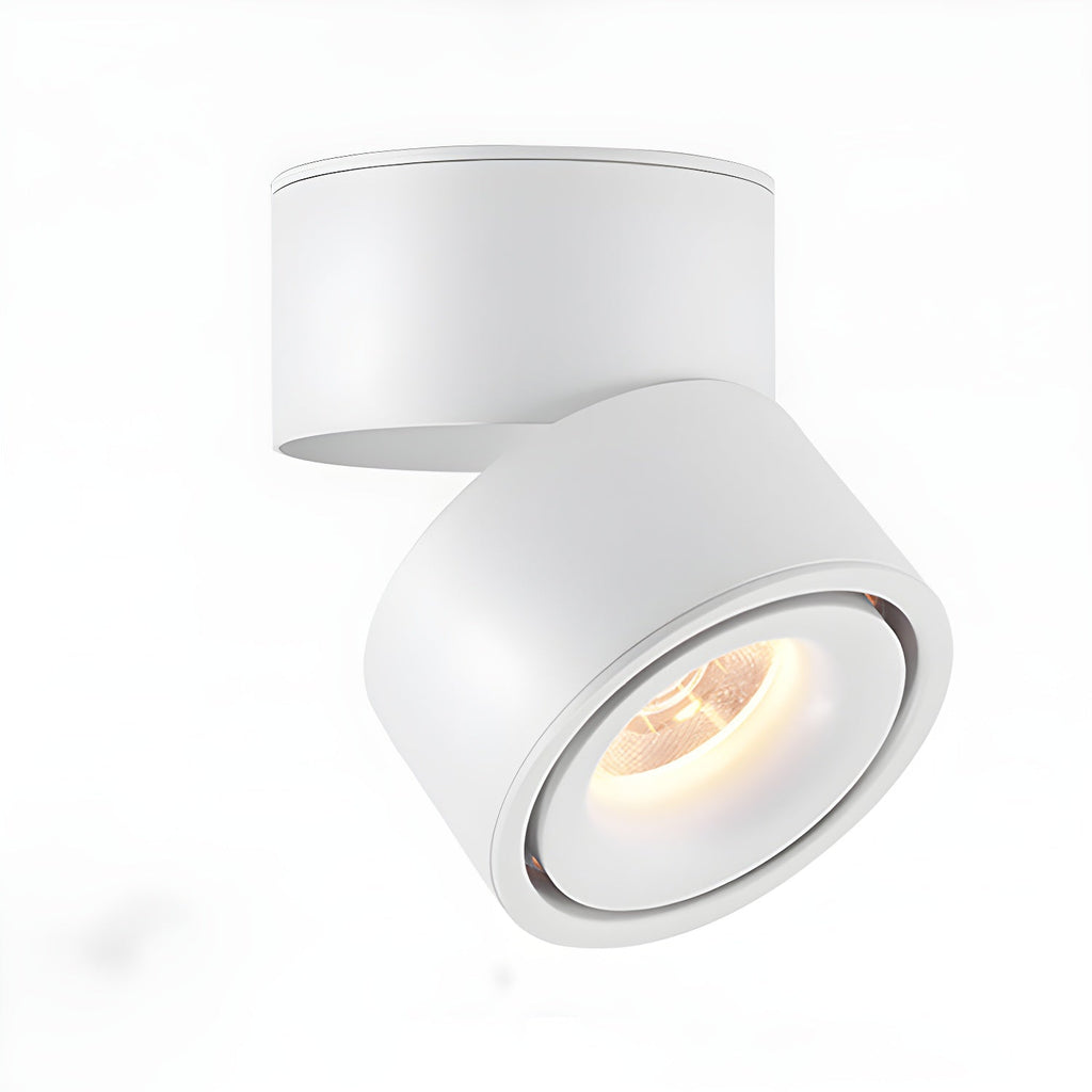 Faretto Rotante da Soffitto