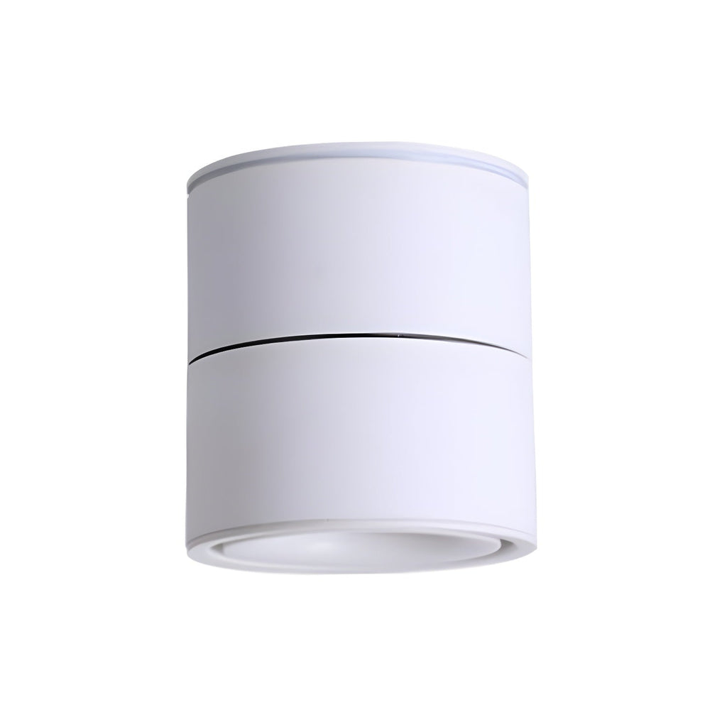 Faretto Rotante da Soffitto