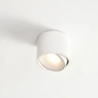 Faretto rotondo in alluminio minimalista moderno, regolabile, a LED, montato a soffitto per soggiorno