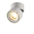 Moderna Lampada da Soffitto a Cilindro Minimalista in Alluminio LED con Angolo Regolabile per Soggiorno