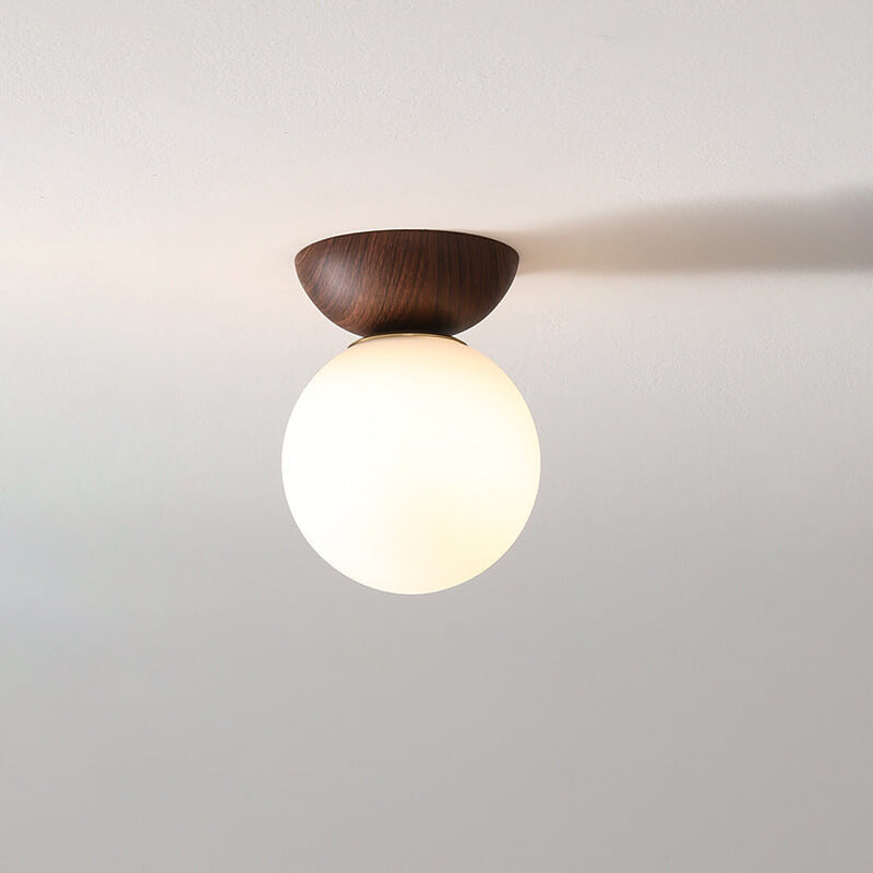 Lampada a Sospensione in Vetro e Ferro Minimalista Moderna con 1 Luce per Soggiorno