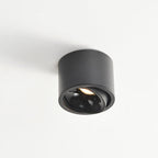 Faretto rotondo in alluminio minimalista moderno, regolabile, a LED, montato a soffitto per soggiorno