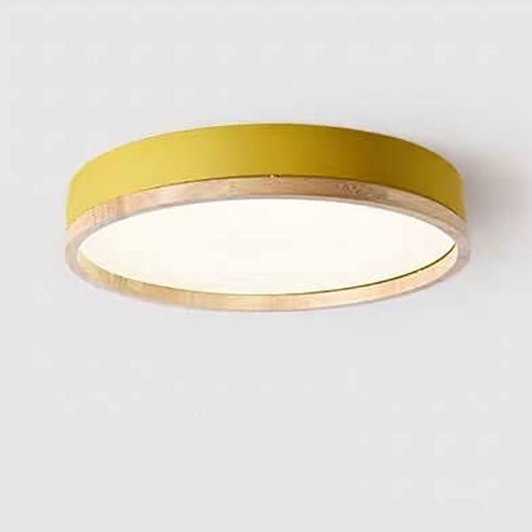 Semplice Lampada da Soffitto LED Acrilico Rotonda