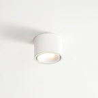 Faretto rotondo in alluminio minimalista moderno, regolabile, a LED, montato a soffitto per soggiorno