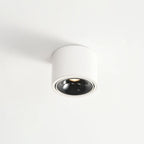 Faretto rotondo in alluminio minimalista moderno, regolabile, a LED, montato a soffitto per soggiorno