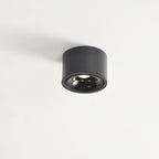 Faretto rotondo in alluminio minimalista moderno, regolabile, a LED, montato a soffitto per soggiorno