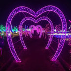 LumiFest LED Stringa 5M–100M