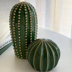 Ornamento Cactus di Acapulco
