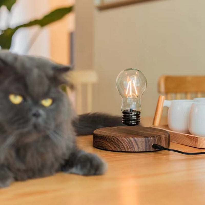 BulbGlow - Lampada elegante con lampadina flottante per un arredamento unico