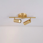 Lampada da parete/soffitto regolabile Taylor