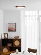 Lampada da Soffitto Rotonda Ultrathin
