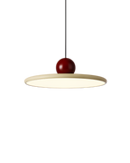 Le Fruit Volant