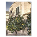 Arte da parete – Tela – Limoni – Verticale – Natura morta moderna – Paesaggio urbano italiano