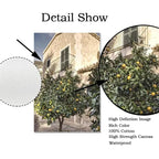 Arte da parete – Tela – Limoni – Verticale – Natura morta moderna – Paesaggio urbano italiano