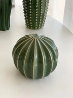 Ornamento Cactus di Acapulco