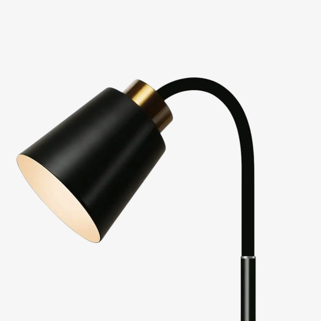 Lampada da Terra Regolabile con Testa Lampada Orientabile – Lampada da Lettura Funzionale