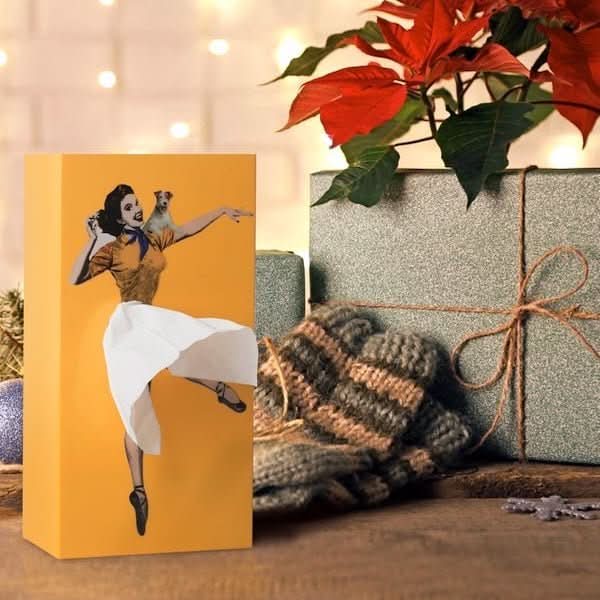 AEROBOX – Scatola di Fazzoletti Volante per un Decorazione Giocosa della Casa