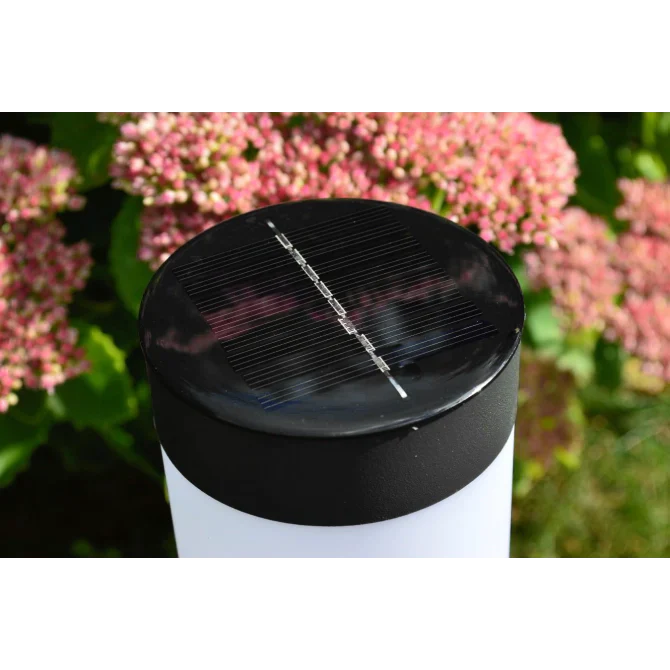 Luci da Giardino a Bollard a Energia Solare in 2 Pezzi con Involucro Cilindrico