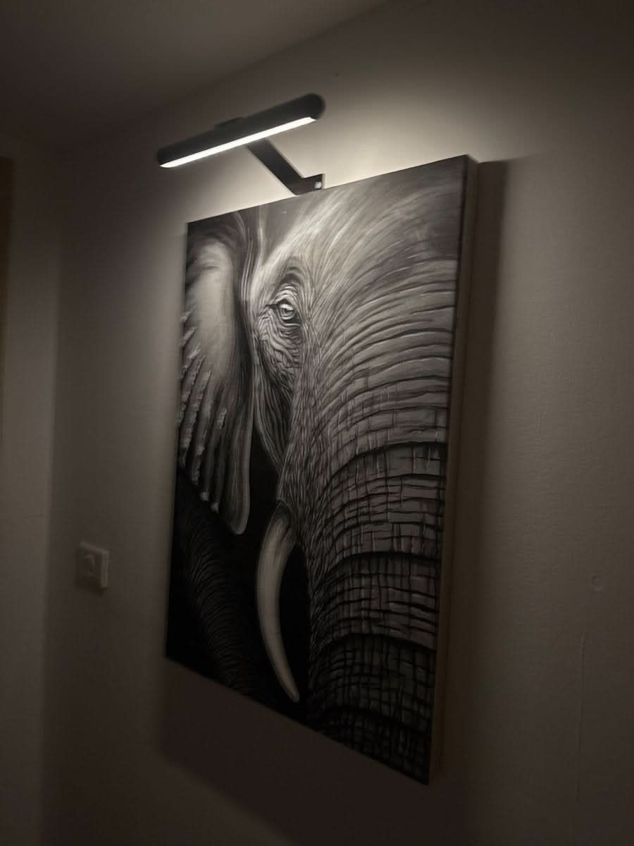 ArtGlow Lampada da Parete LED – Illuminazione Senza Fili per Arte e Decorazione