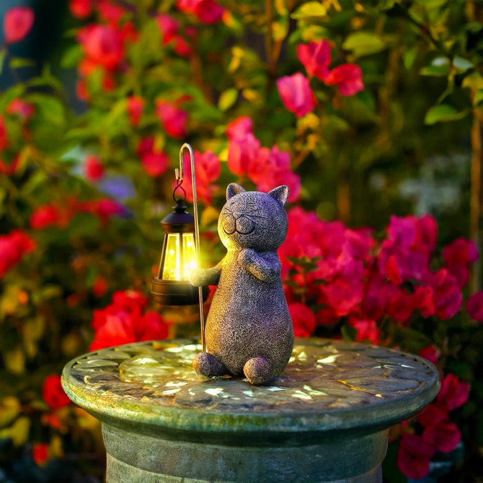 Gatto Gloiante Giardino Lampada