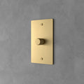 Interruttore Dimmer in Ottone