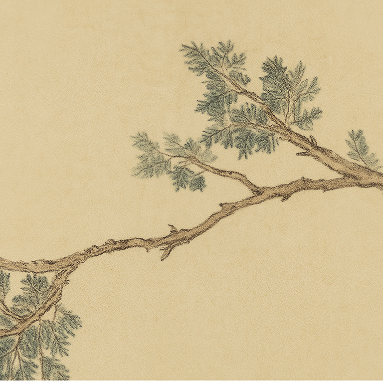 Paravento Tradizionale Francese in Legno di Abete Rettangolare, Legno Massello, Pannelli di Compensato, Tela di Cotone con Motivo Floreale e di Uccelli per Soggiorno