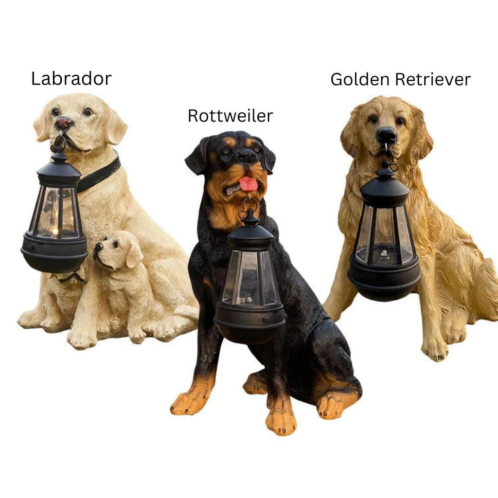 Statua di cane con illuminazione solare a LED - lumipup