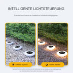 Lampada da Giardino Solare a LED – Illuminazione Efficiente per Esterni