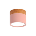 Lampada da soffitto LED cilindrica semplice nordica