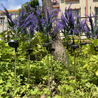 Lampada a Fiore LED in Acciaio Inossidabile – Lampada da Giardino a Energia Solare, Impermeabile per Giardini, Terrazze e Viali