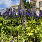 Lampada a Fiore LED in Acciaio Inossidabile – Lampada da Giardino a Energia Solare, Impermeabile per Giardini, Terrazze e Viali