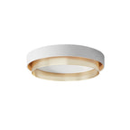 Zorlin Moderno LED Soffitto Montato