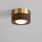 LignaShine – Luce Ambientale in Legno di Noce Naturale
