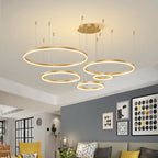 lampadario sospeso cerchio | Salone e sala da pranzo
