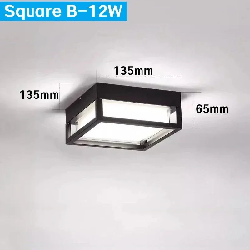 Alaya Luce da Esterno