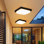 Alaya Luce da Esterno
