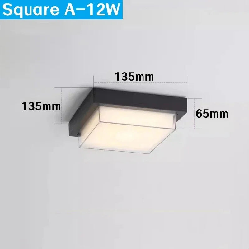 Alaya Luce da Esterno